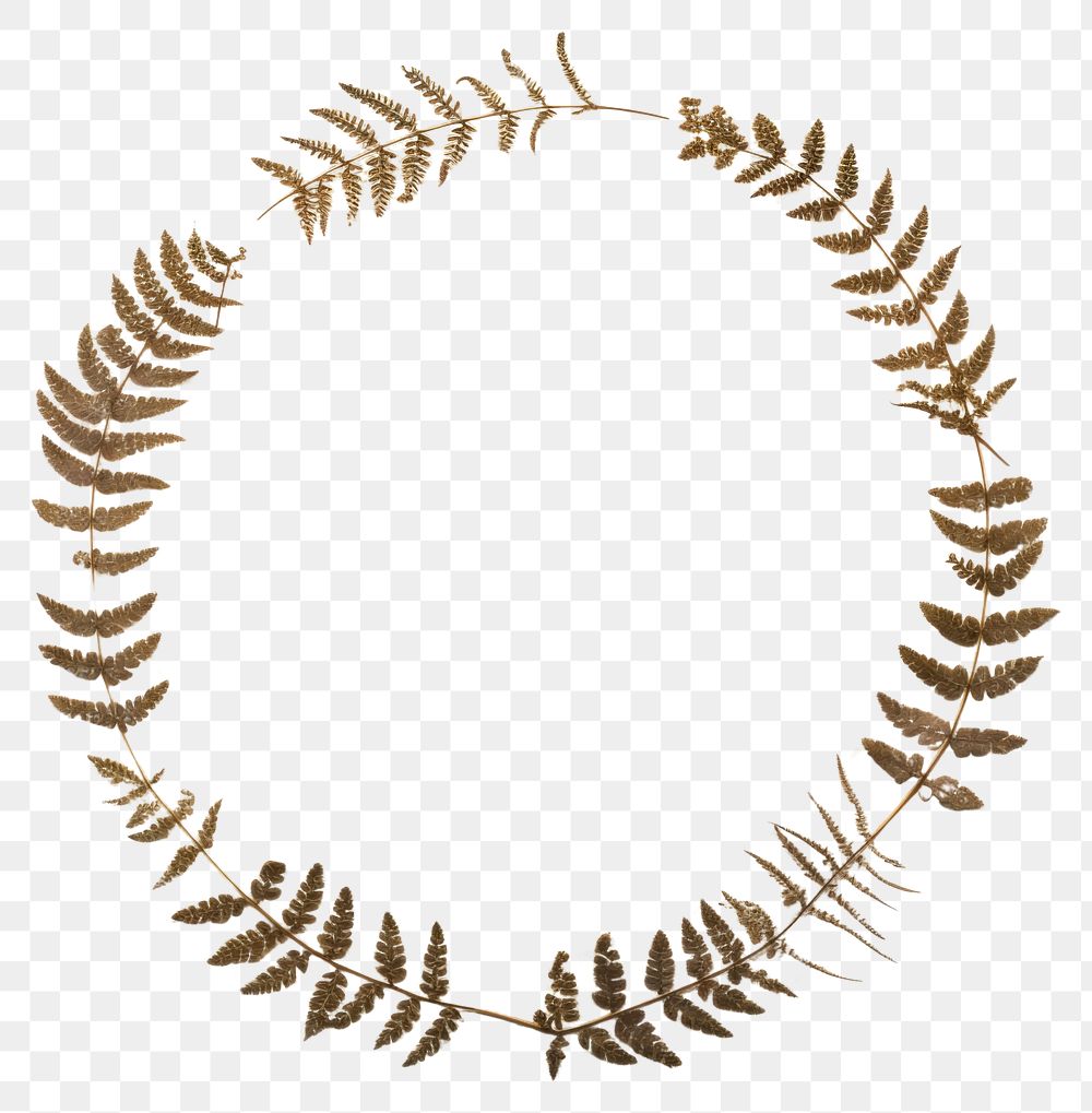 PNG Real pressed Acacia leaves necklace circle shape. AI generated Image by rawpixel.