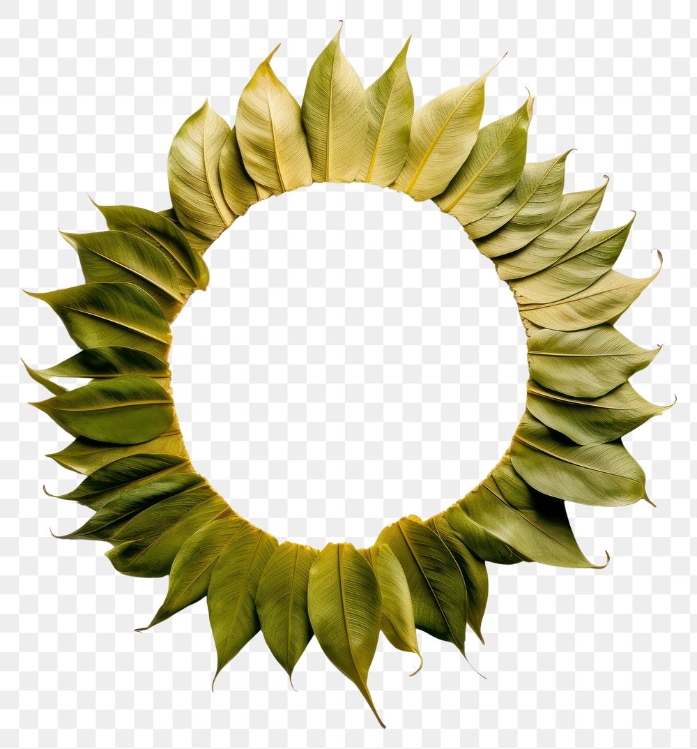PNG Real pressed banana leaves wreath circle shape. AI generated Image by rawpixel.