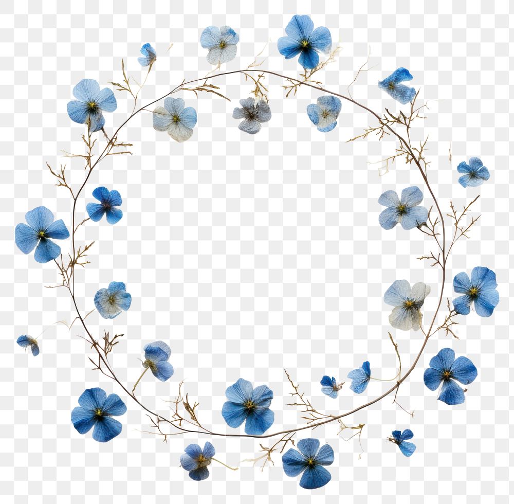 PNG Real pressed blue flowers jewelry wreath circle. AI generated Image by rawpixel.
