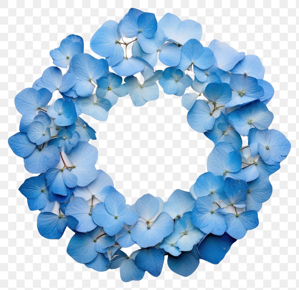 PNG Real pressed blue hydrangea flowers circle wreath shape. AI generated Image by rawpixel.