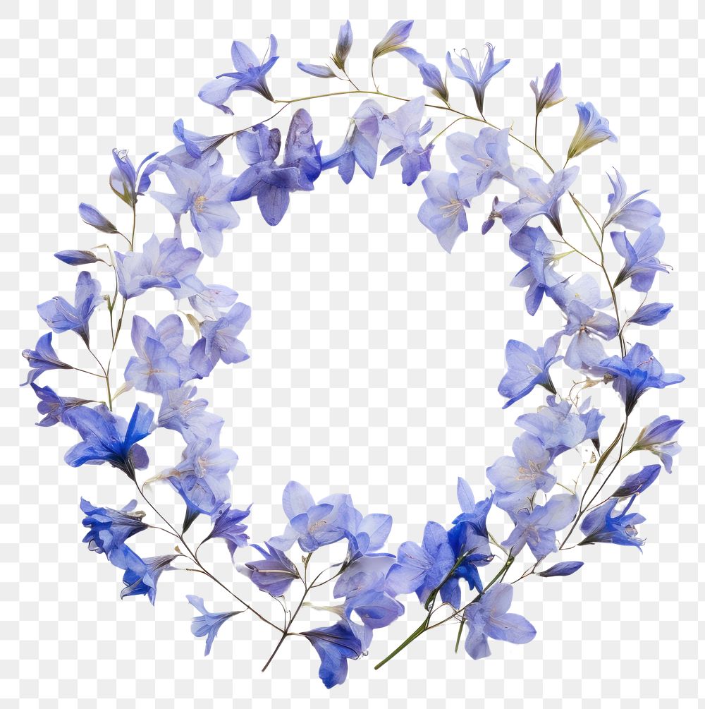 PNG Real pressed bluebells flowers circle wreath petal. AI generated Image by rawpixel.