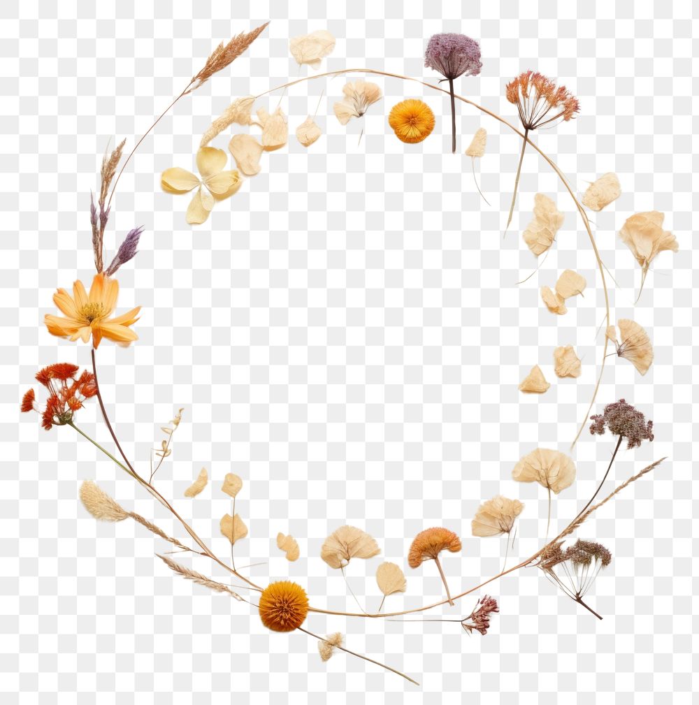 PNG Real pressed chinese flowers circle wreath plant. AI generated Image by rawpixel.