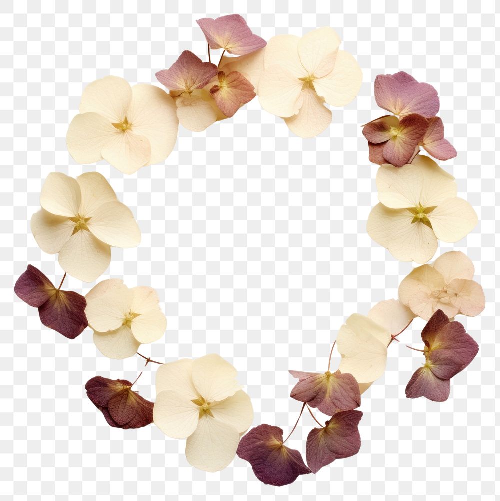 PNG Real pressed hydrangea flowers jewelry circle shape. AI generated Image by rawpixel.