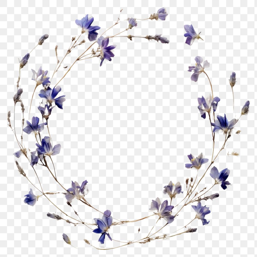 PNG Real pressed larkspur flowers jewelry circle wreath. AI generated Image by rawpixel.