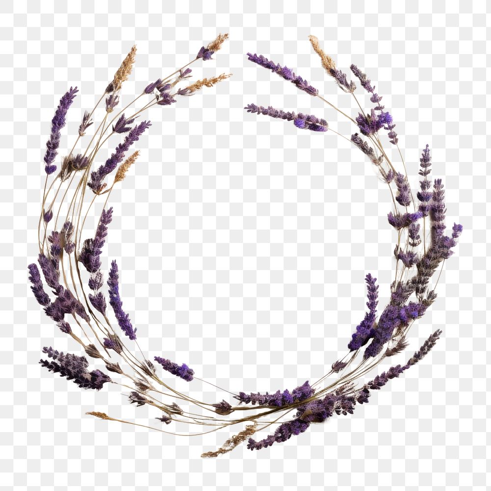 PNG Real pressed lavender flowers necklace jewelry circle. AI generated Image by rawpixel.