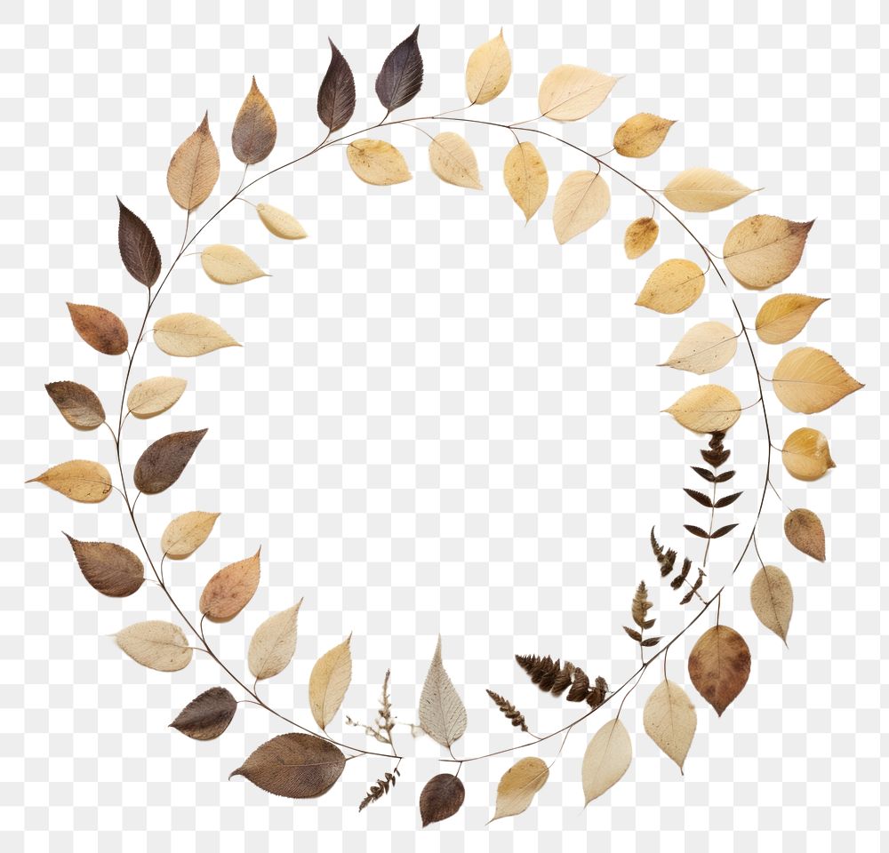 PNG Real pressed leaves circle flower shape. AI generated Image by rawpixel.
