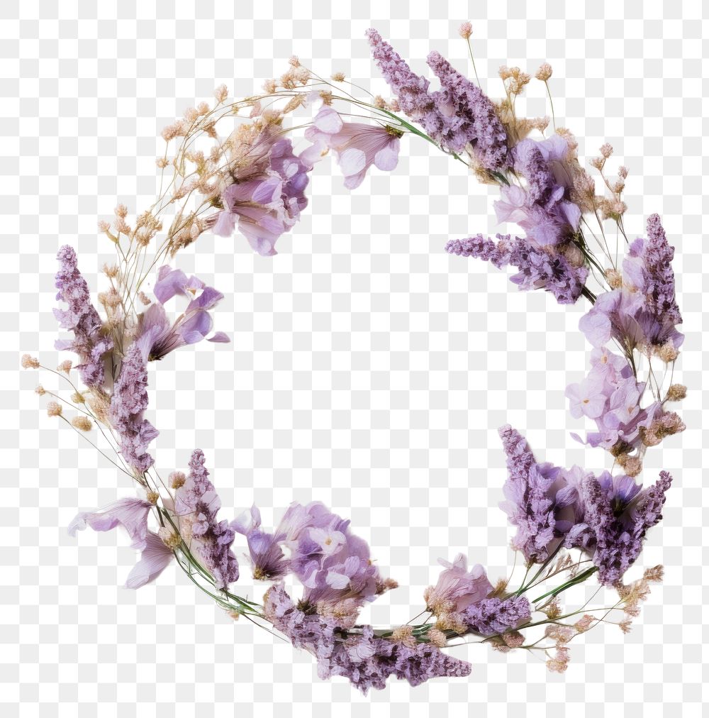 PNG Real pressed lilac flowers lavender wreath purple. AI generated Image by rawpixel.