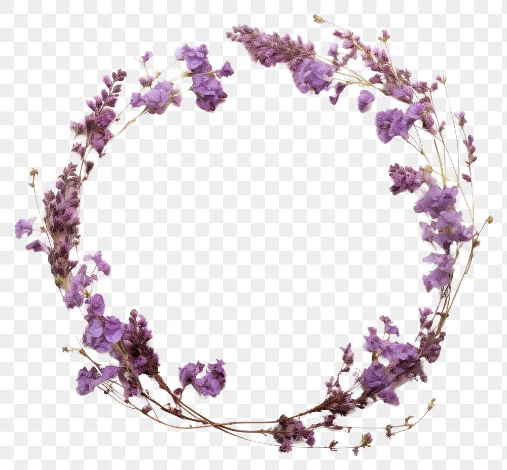 PNG Real pressed lilac flowers lavender blossom jewelry. AI generated Image by rawpixel.