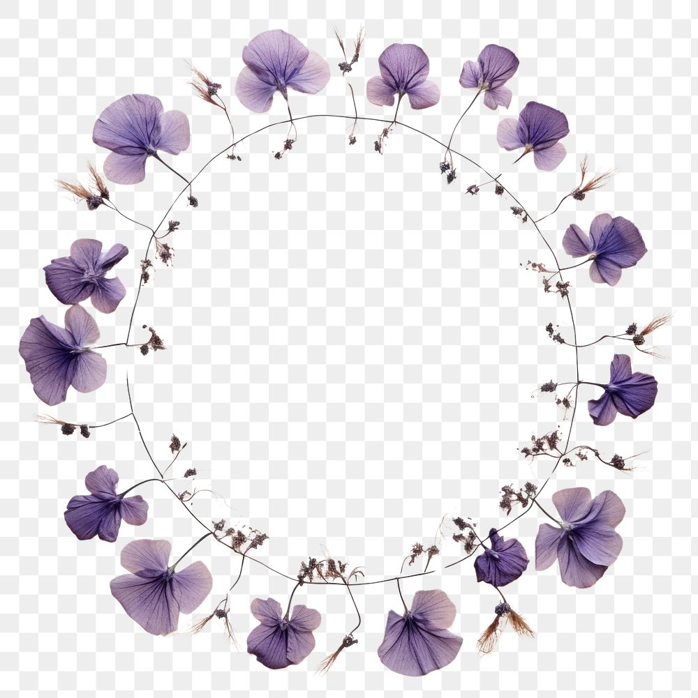 PNG Real pressed violet flowers circle wreath purple. AI generated Image by rawpixel.