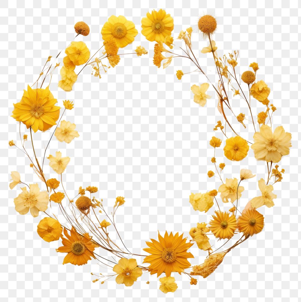 PNG Real pressed yellow flowers circle wreath shape. AI generated Image by rawpixel.
