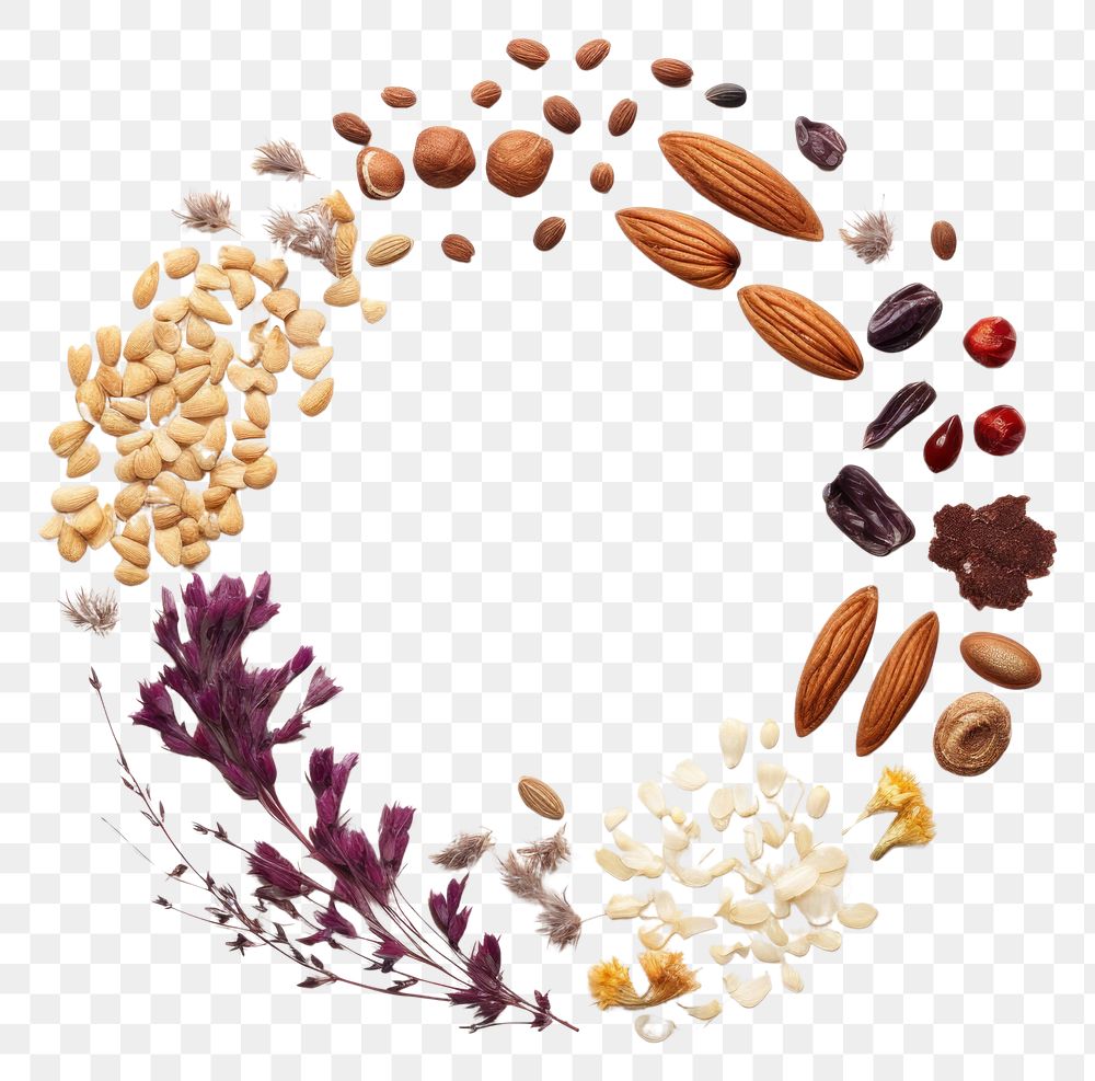 PNG  Nuts and grains almond circle food. AI generated Image by rawpixel.