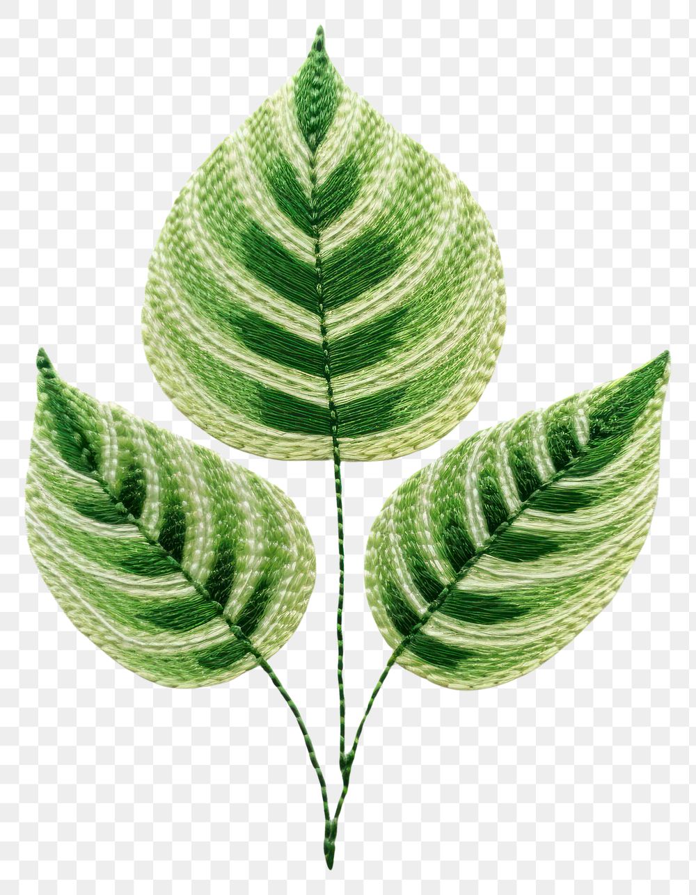 PNG Botanical leave plant embroidery pattern leaf.