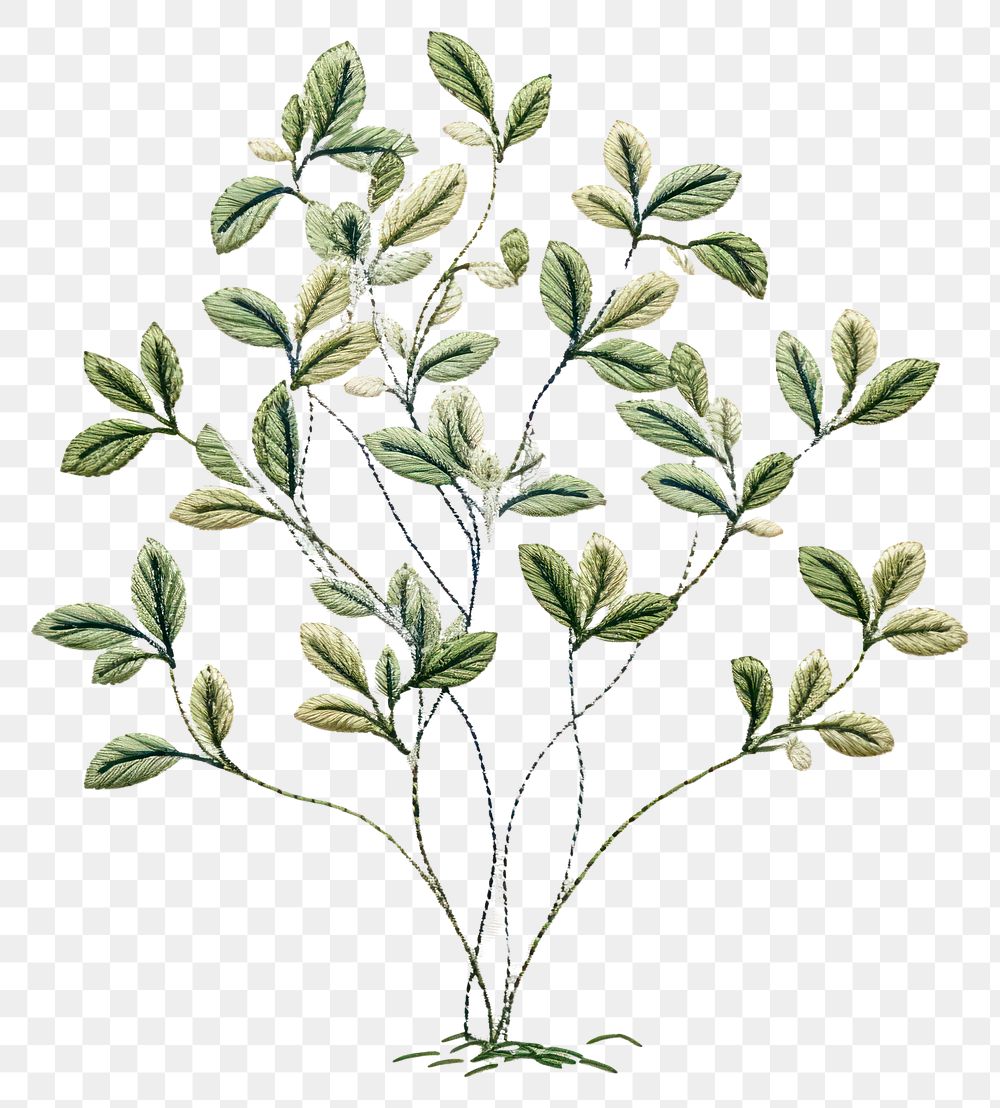 PNG Plant embroidery pattern herbs.
