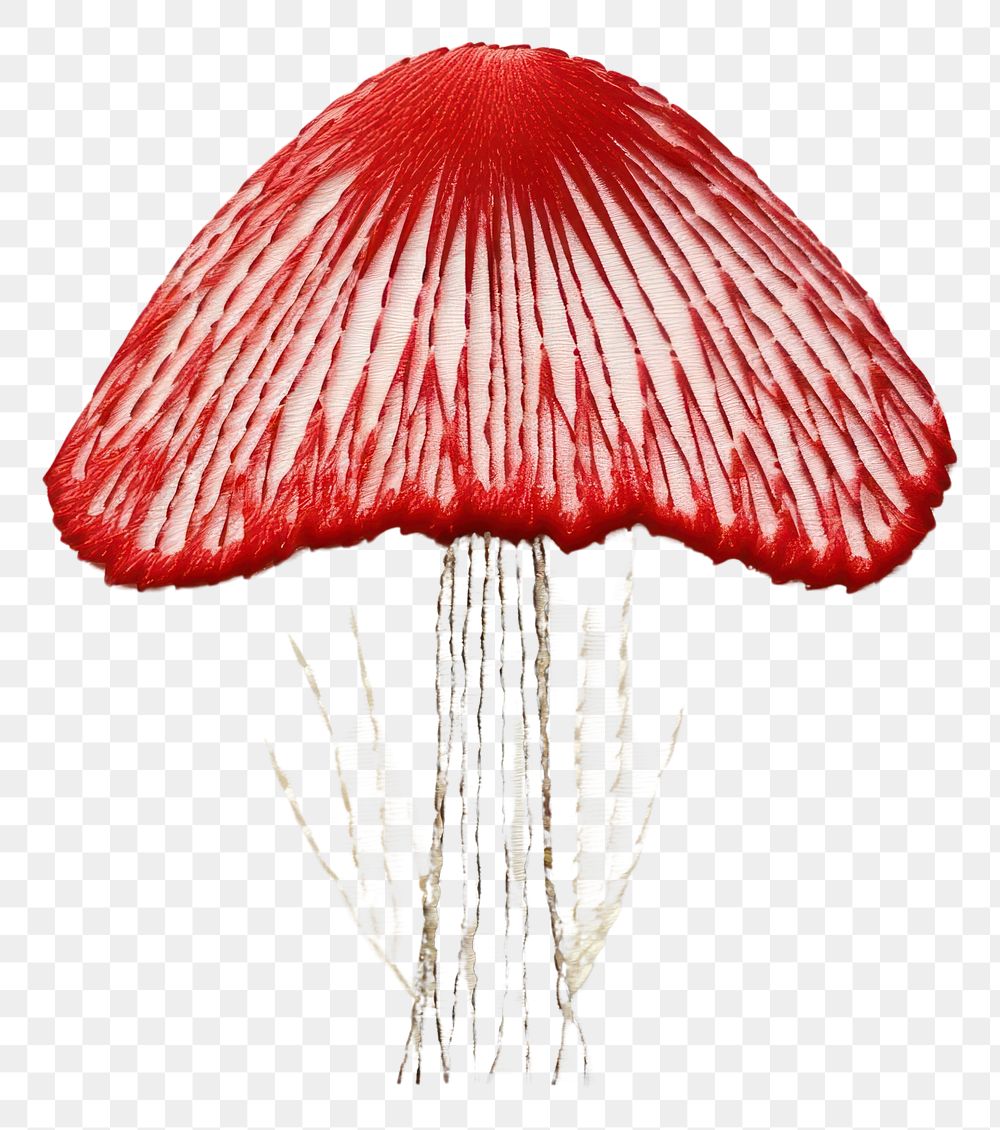 PNG Mushroom plant accessories poisonous.