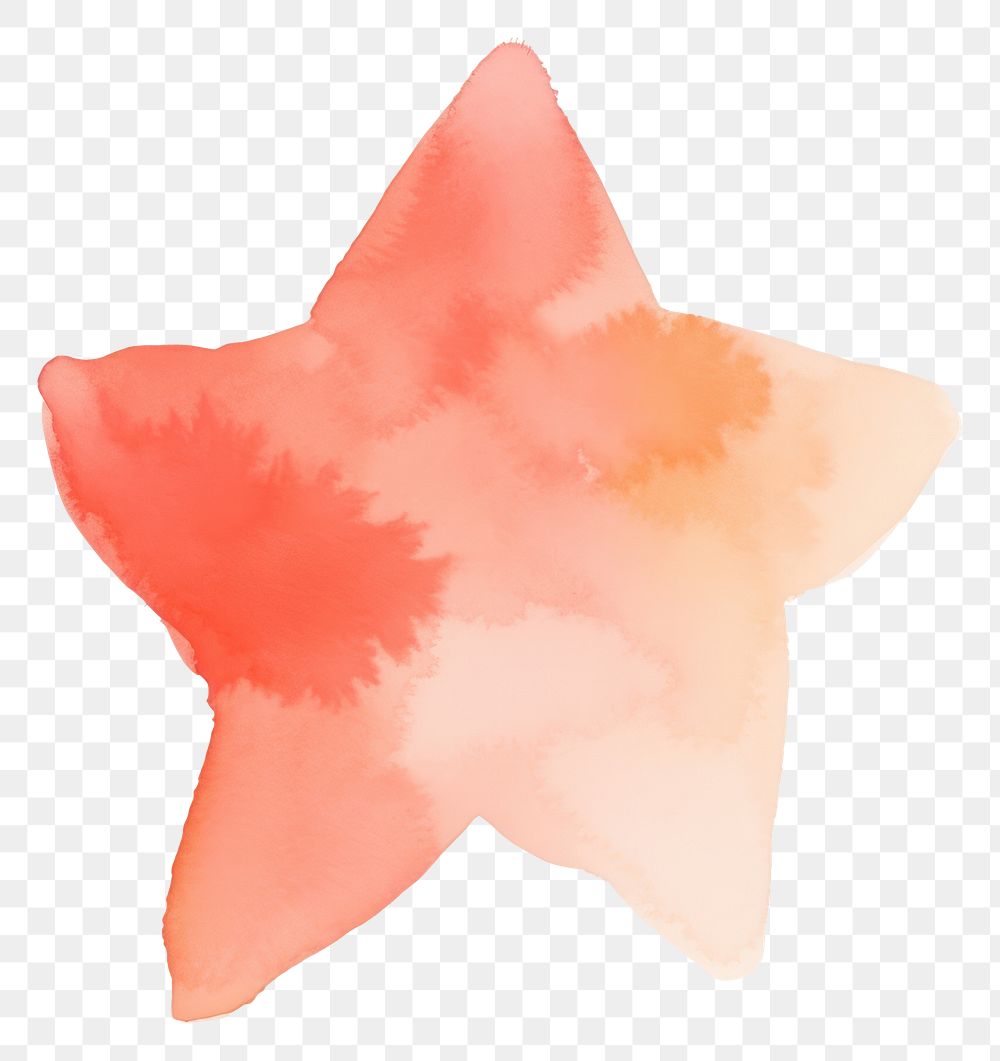 PNG  Star shape white background creativity. AI generated Image by rawpixel.