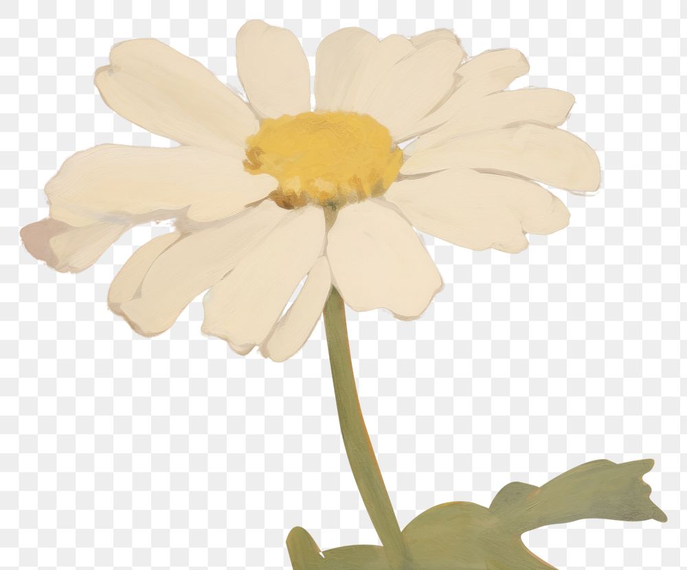 PNG Daisy painting art backgrounds. AI generated Image by rawpixel.