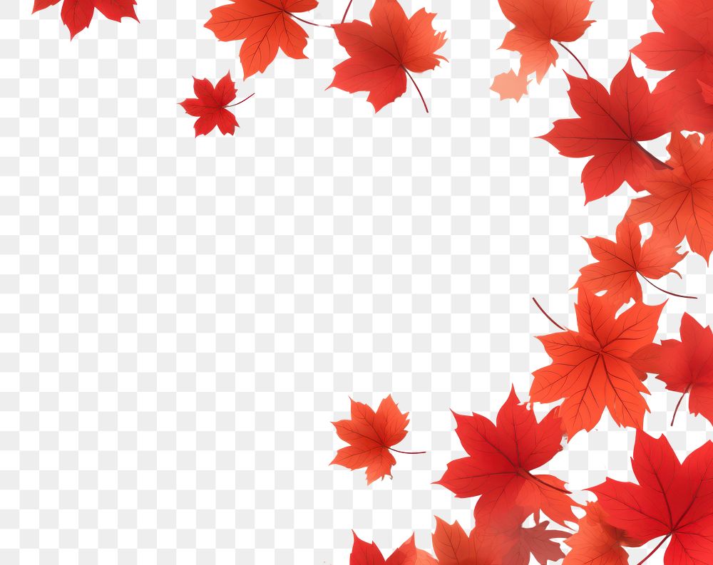 PNG  Frame illustration of autumn maple plant leaf. AI generated Image by rawpixel.
