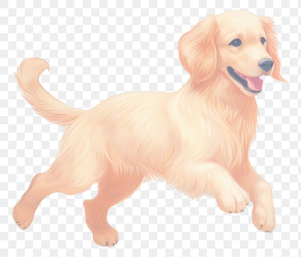 PNG  Golden retriever animal mammal puppy. AI generated Image by rawpixel.