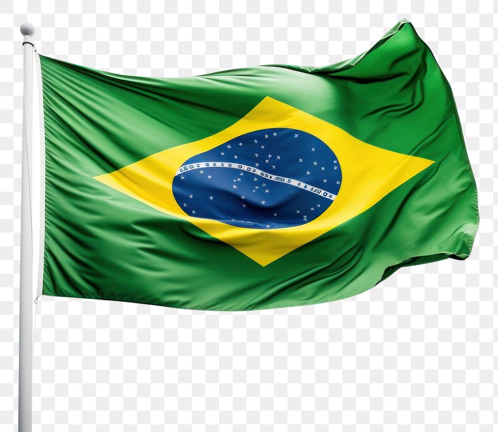 Premium Vector  Hand holding brazil flag with line art style brazil flag  vector illustration