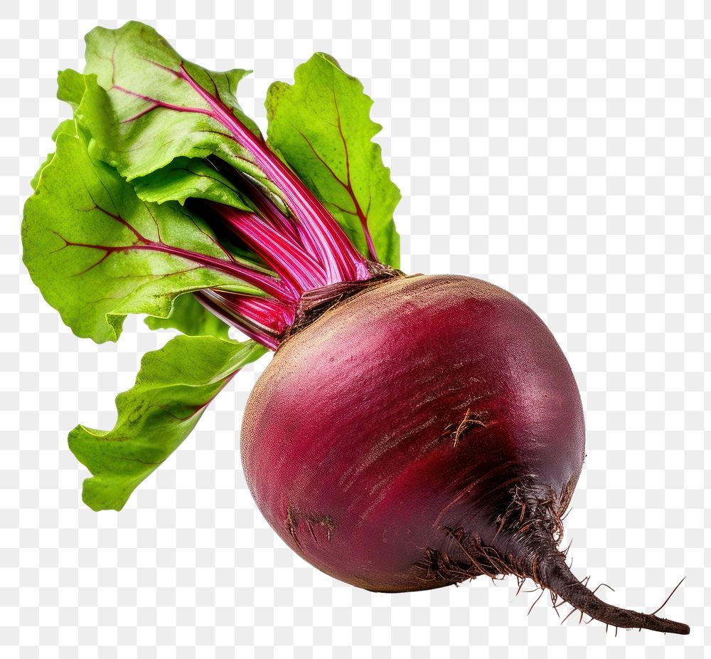 PNG  Beetroot vegetable plant food white background. AI generated Image by rawpixel.