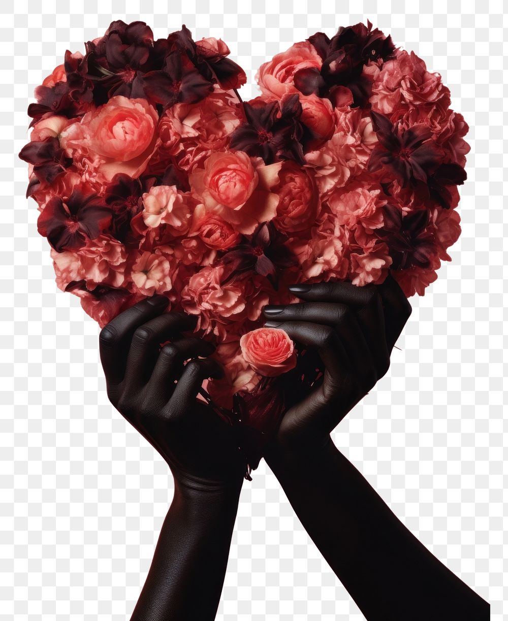 PNG Hand holding flowers in heart shape plant adult rose. AI generated Image by rawpixel.