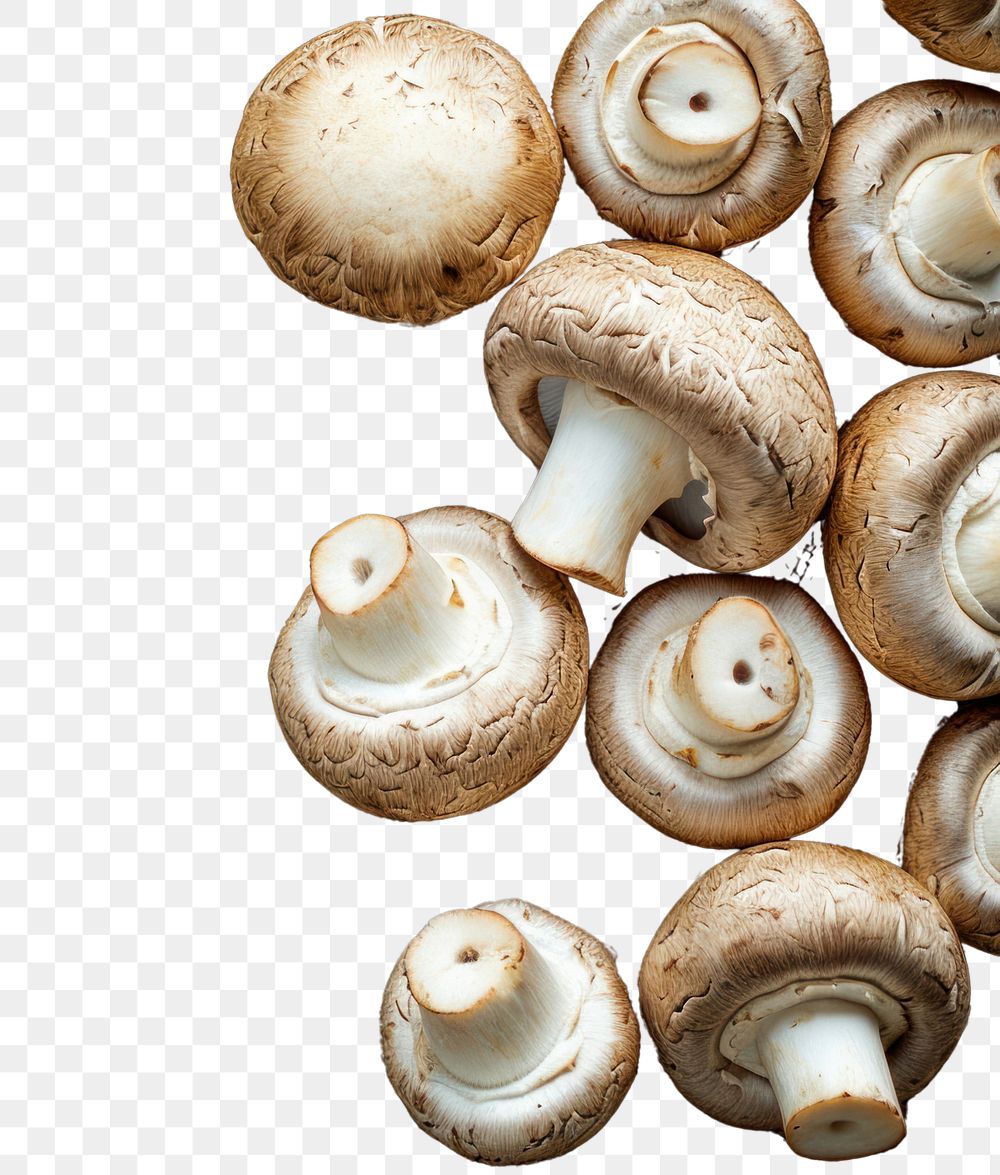PNG  Champignon mushrooms backgrounds fungus wood.