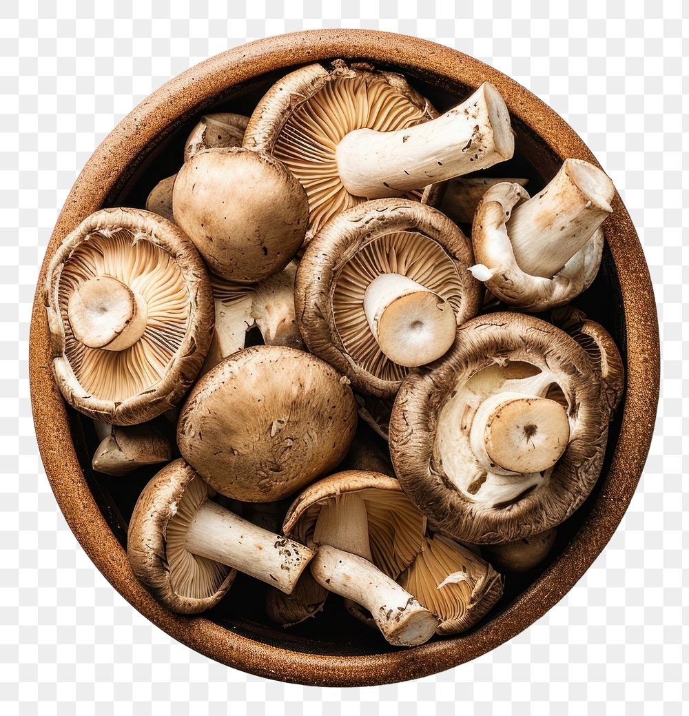PNG  Wild mushrooms bowl ingredient vegetable.