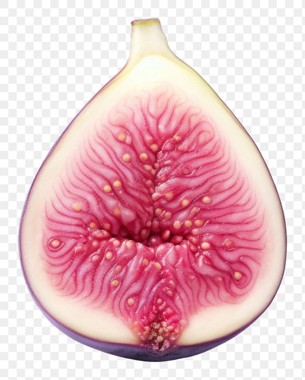 PNG  Fig fruit plant food.
