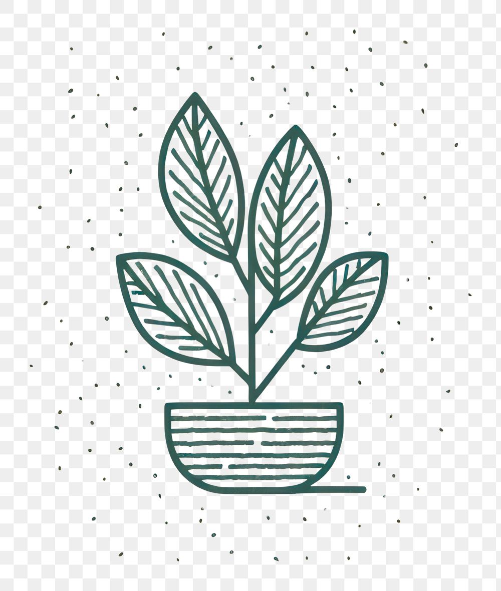 PNG Plant leaf houseplant flowerpot.