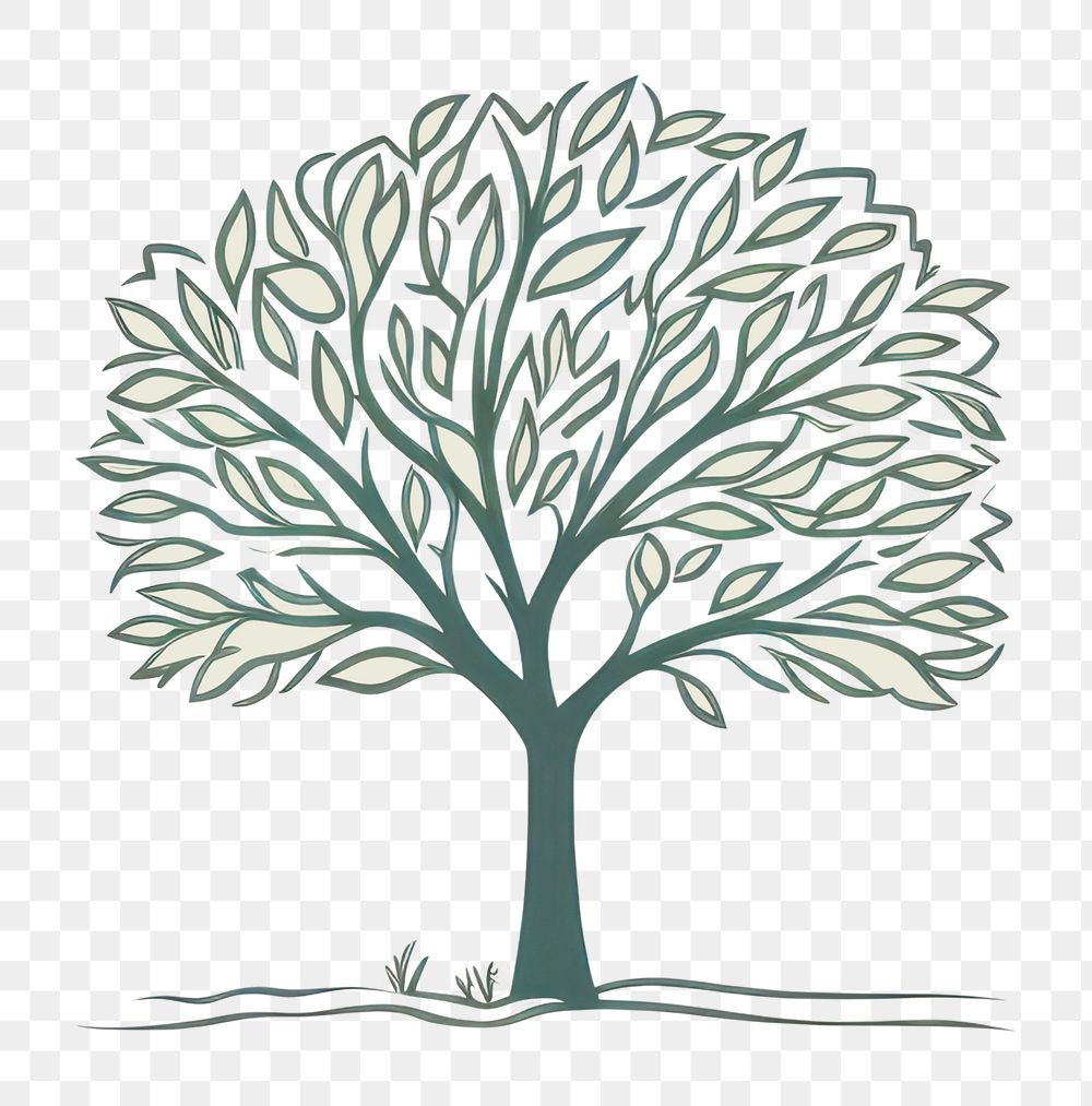 PNG Drawing sketch plant tree.