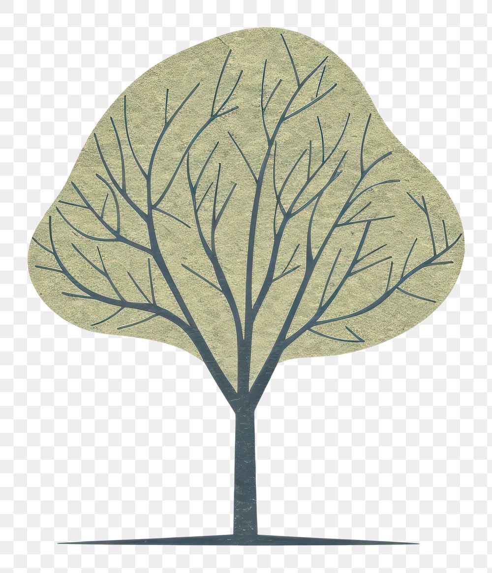 PNG Drawing sketch plant tree.