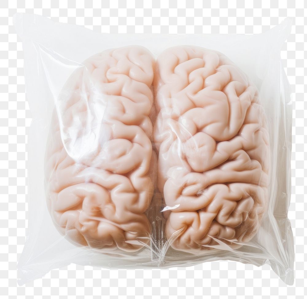 PNG  Plastic wrapping over a brain white background freshness khinkali.