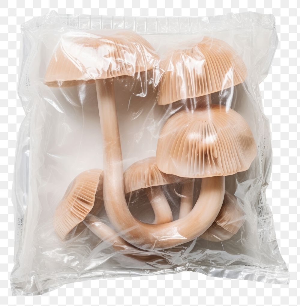 PNG  Plastic wrapping over a mushroom white background agaricaceae vegetable.