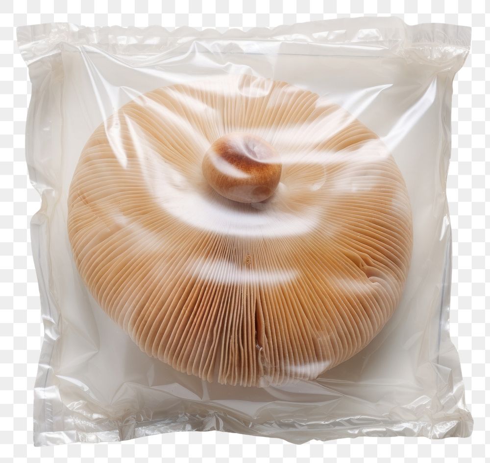 PNG  Plastic wrapping over a mushroom clothing apparel fungus.
