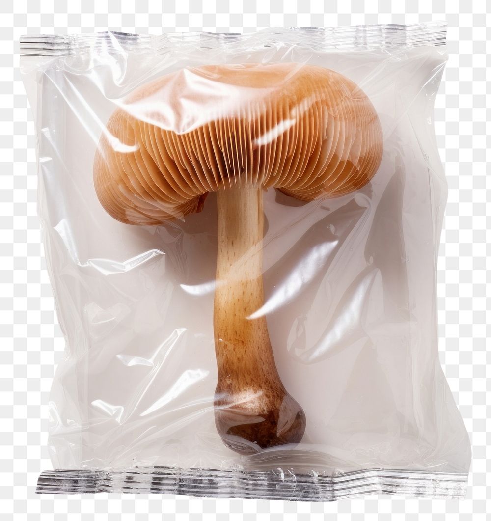 PNG  Plastic wrapping over a mushroom fungus white background freshness.