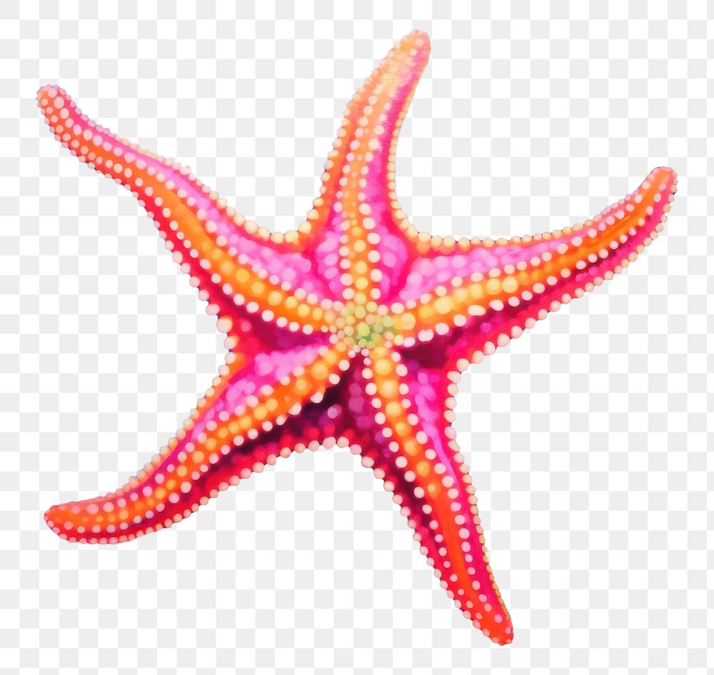PNG  Starfish painting marine purple. AI generated Image by rawpixel.