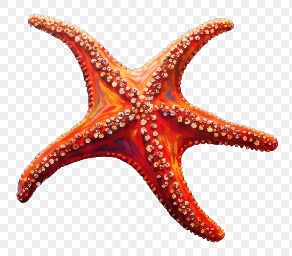 PNG  Starfish painting marine blue. AI generated Image by rawpixel.