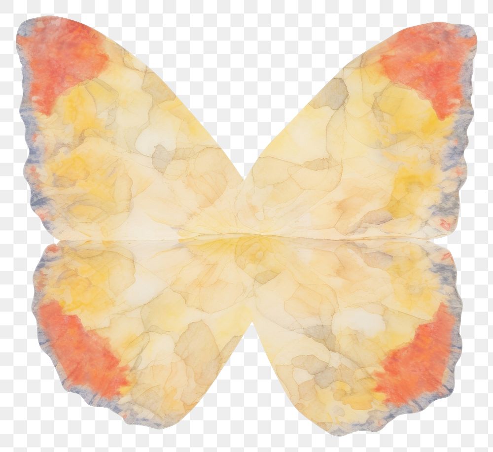 PNG Butterfly marble distort shape petal white background accessories.