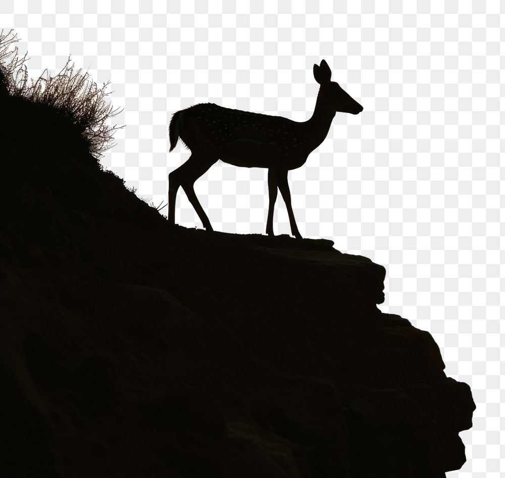 PNG  Photo of silhouette deer walking sunlight wildlife outdoors.