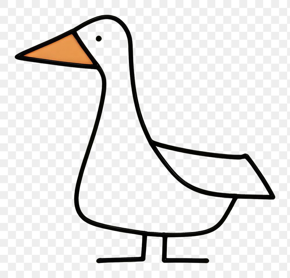 PNG Drawing of a duck animal goose bird.