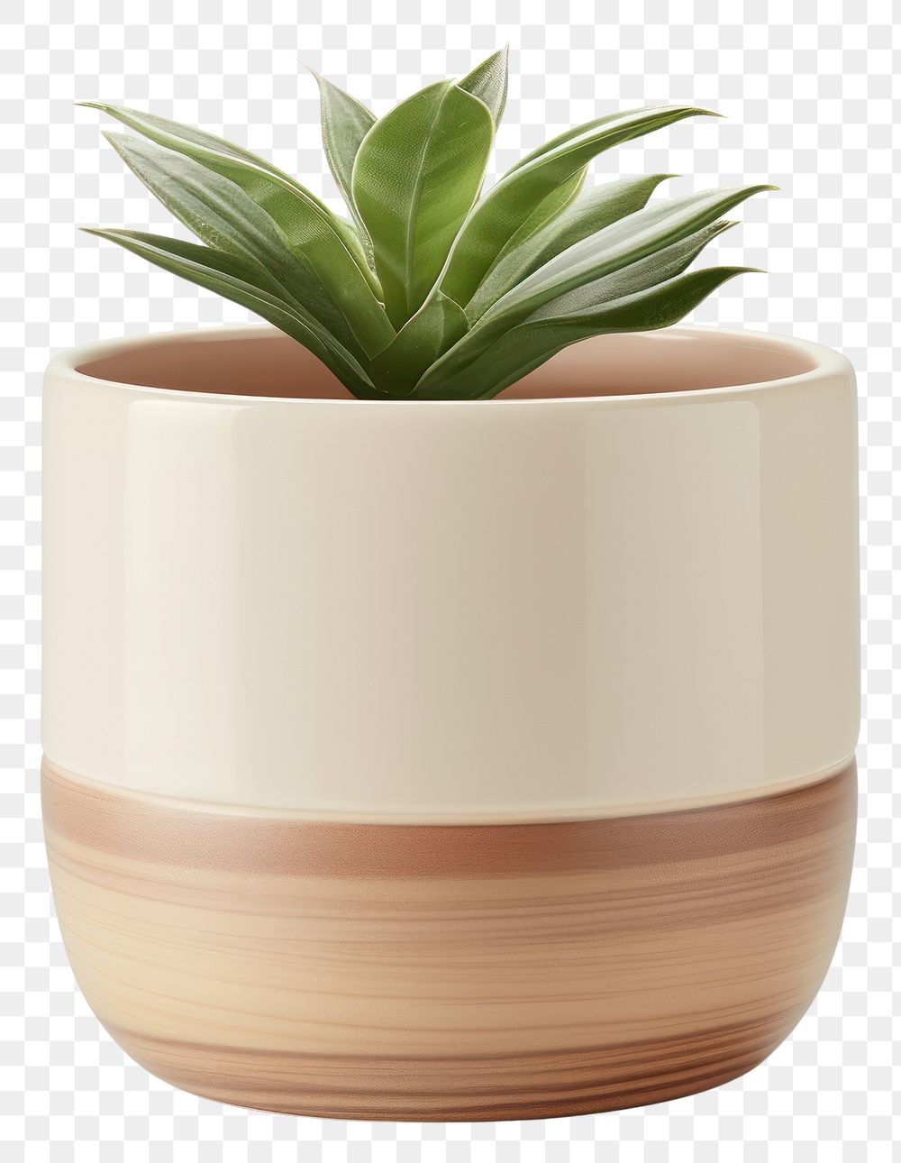 PNG Pottery off-white planter pottery vase leaf.