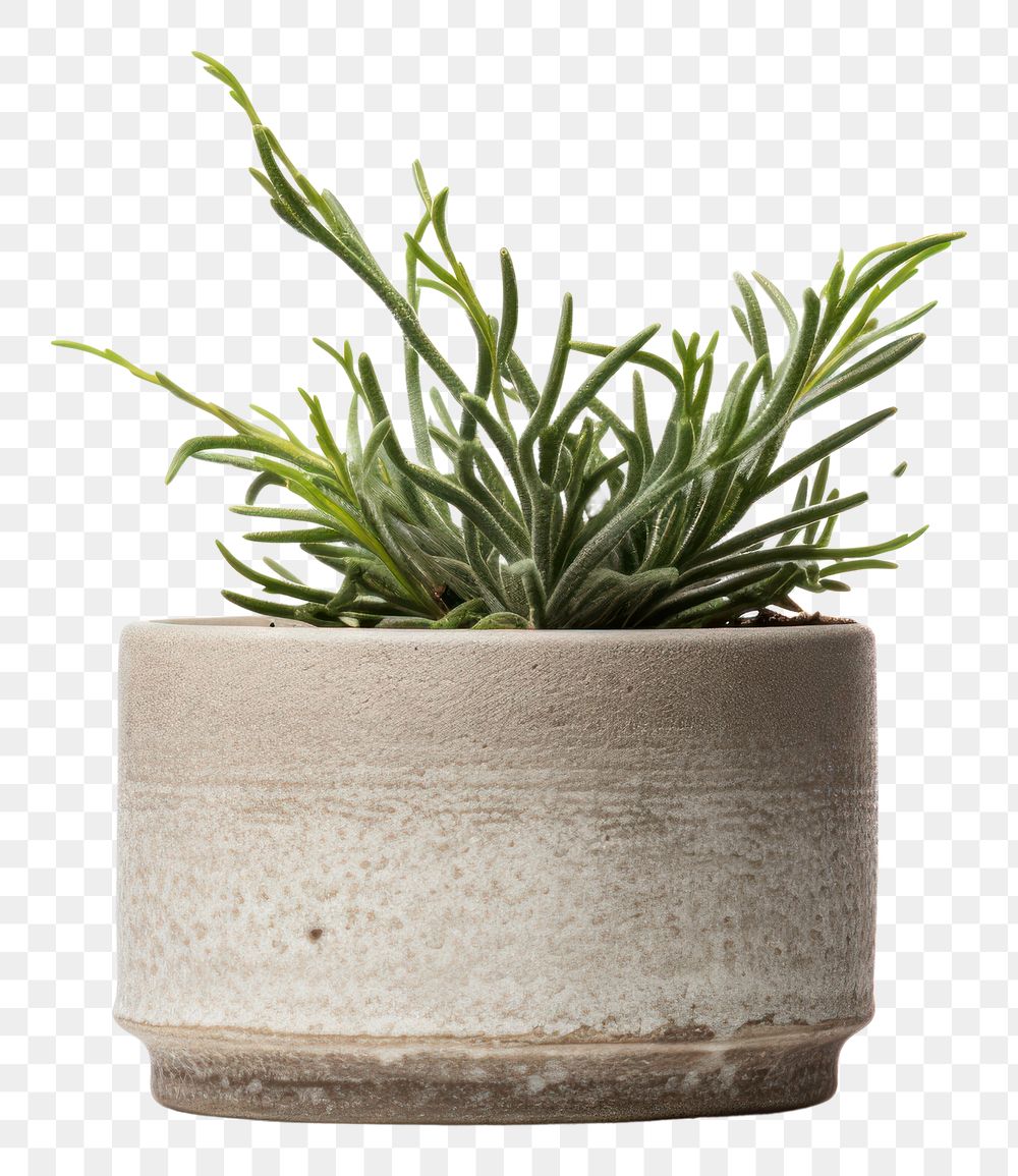 PNG Pottery off-white planter pottery cookware vase.