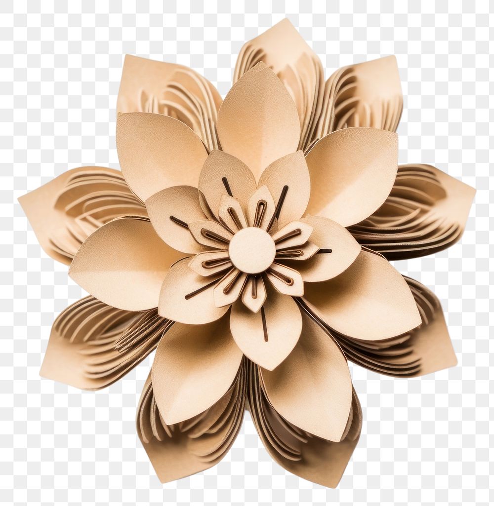 PNG Flower cardboard brooch dahlia.