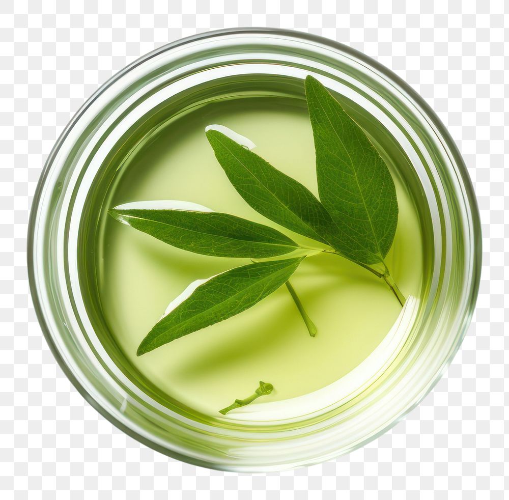 PNG Green tea drink glass plant.