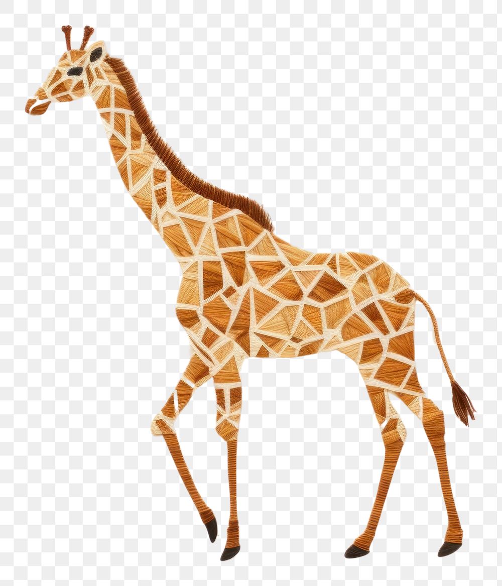 PNG  Giraffe wildlife animal mammal.