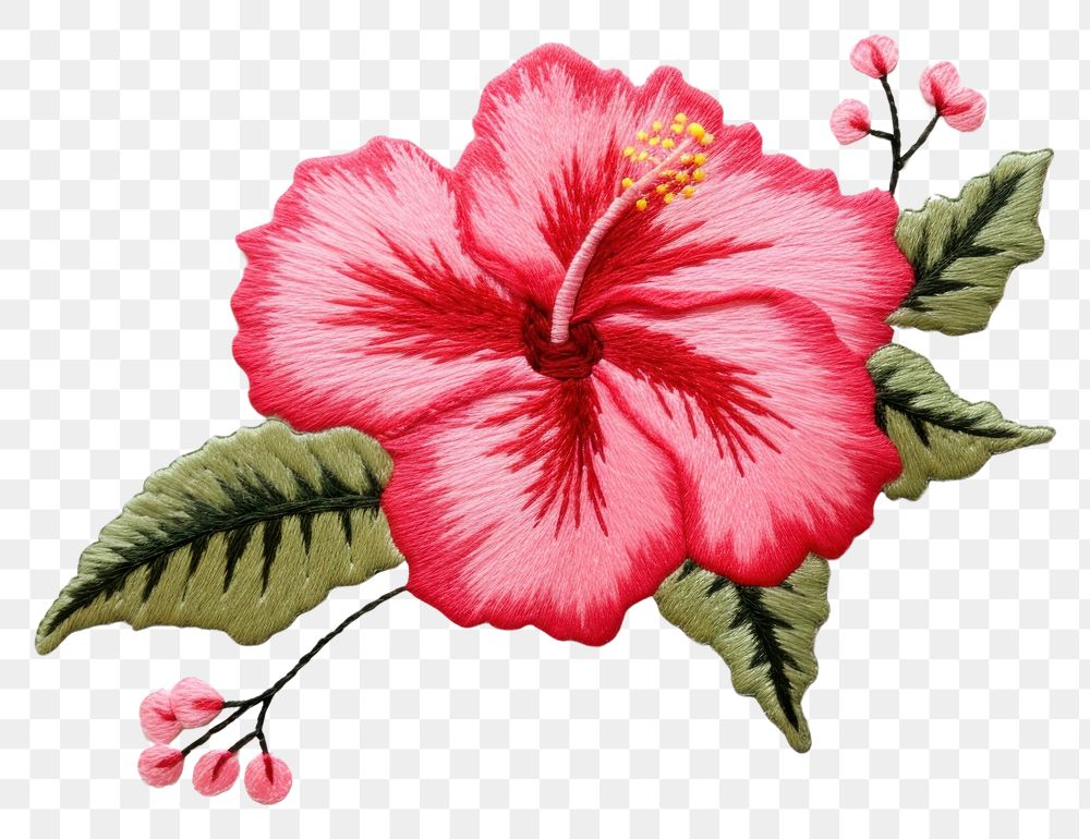PNG  Embroidery hibiscus pattern flower.