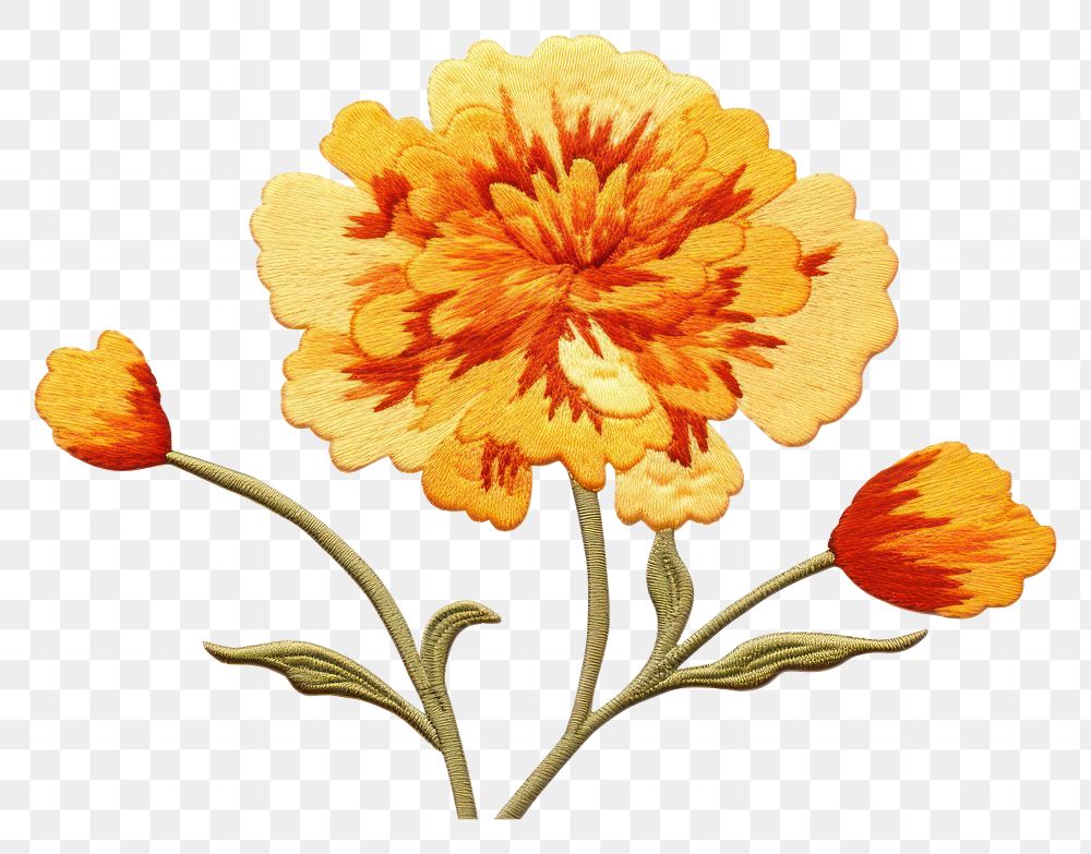 PNG  Marigold pattern flower petal.