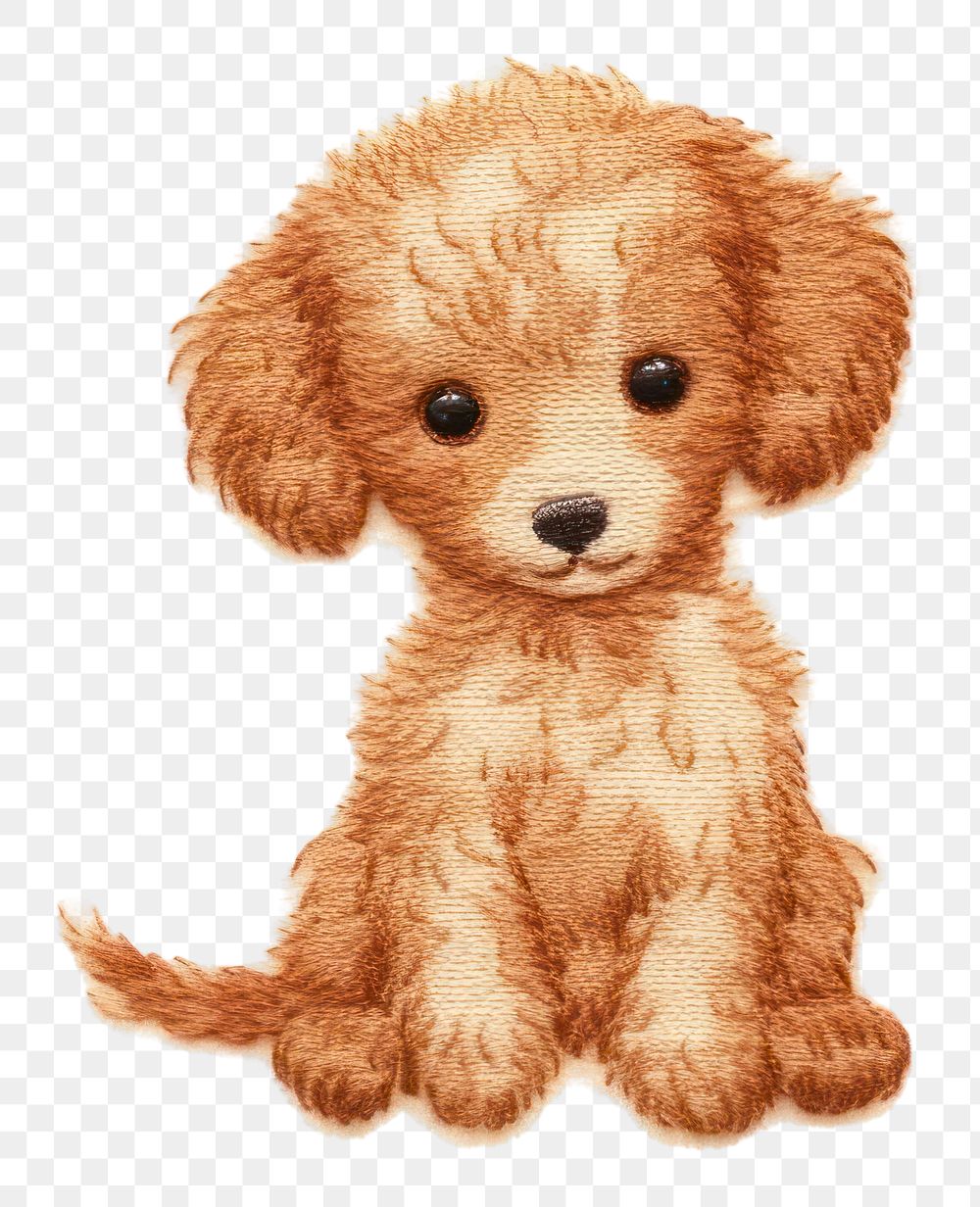 PNG  Poodle mammal animal puppy.