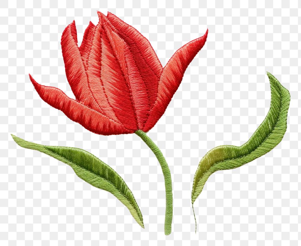 PNG  Tulip in embroidery style flower petal plant.