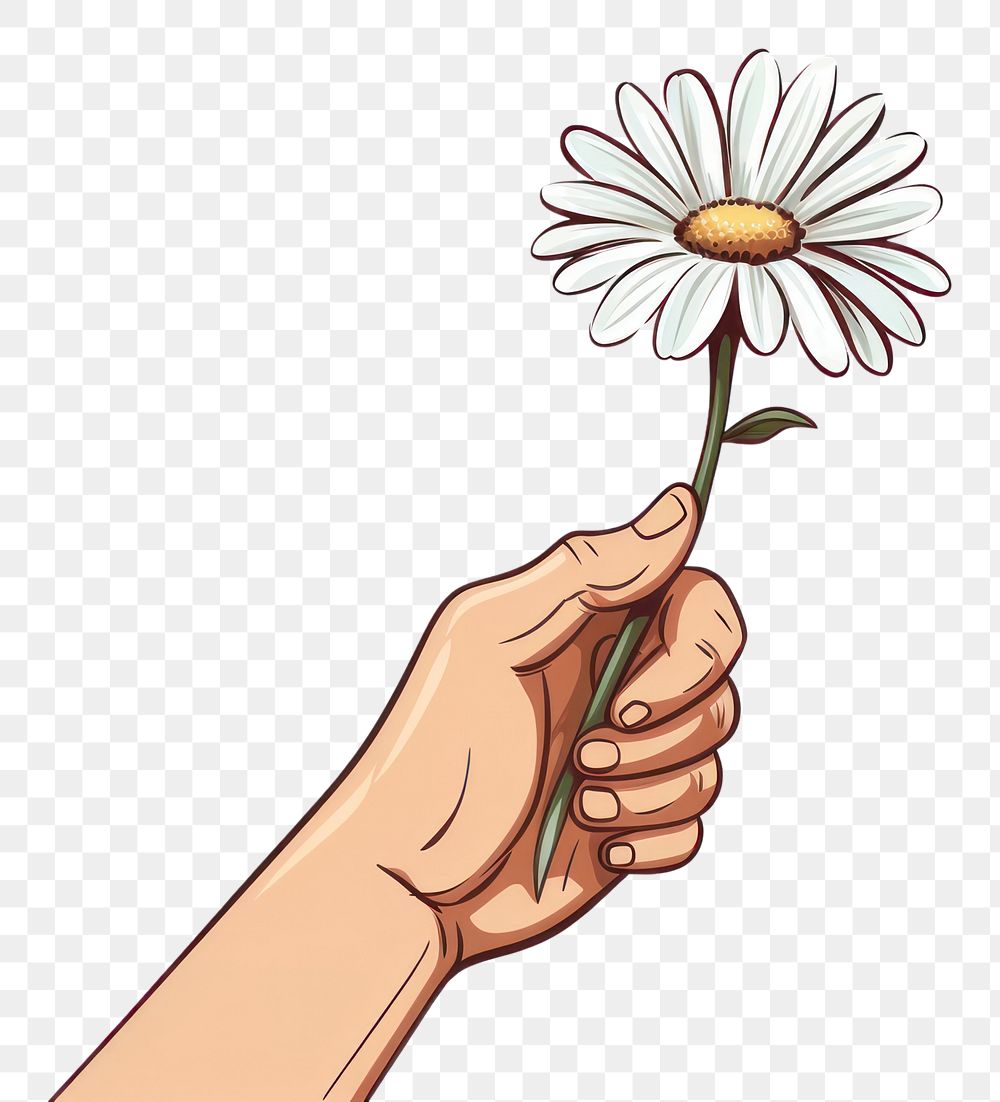 PNG Human hand holding a daisy flower cartoon finger petal.